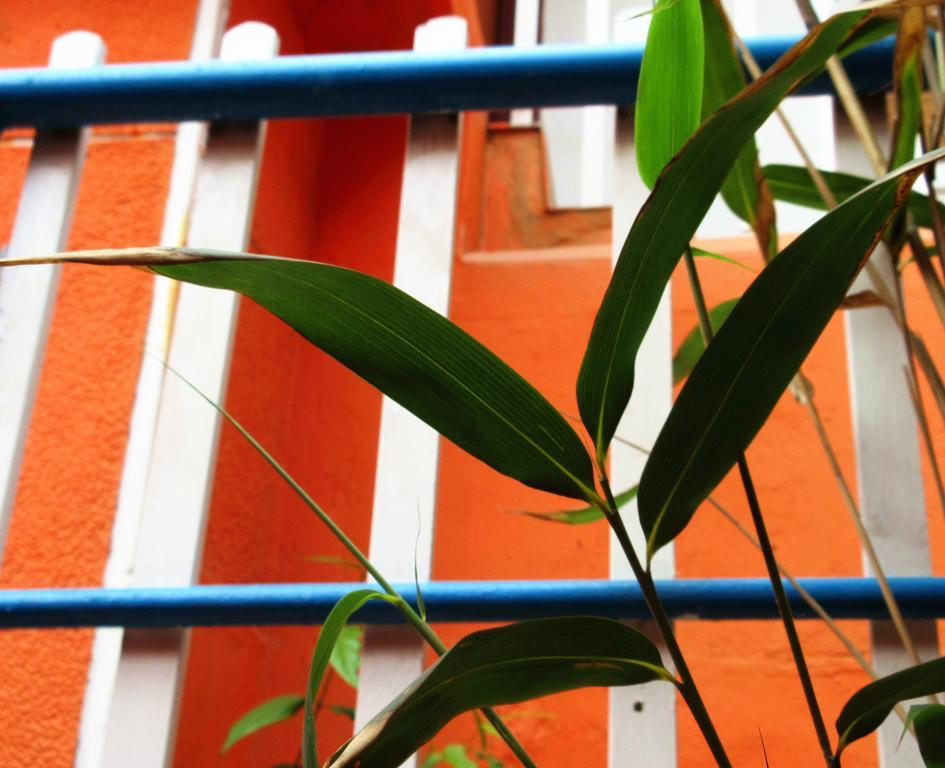 25°C Four Season Youth Hostel 青島市 エクステリア 写真
