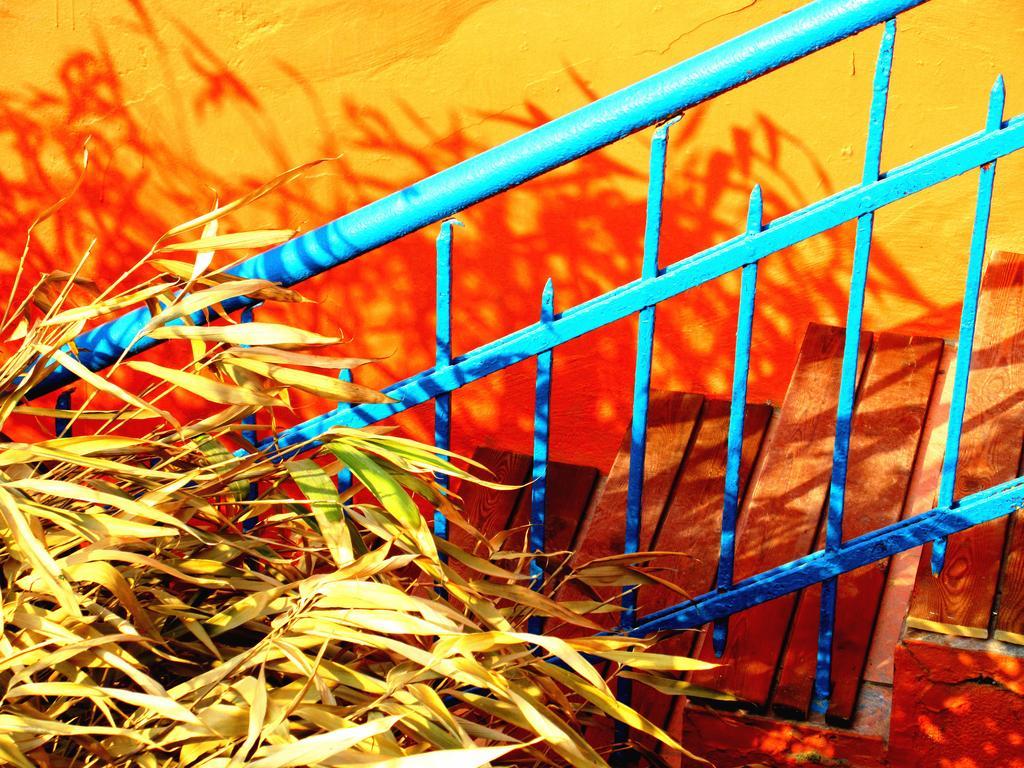 25°C Four Season Youth Hostel 青島市 エクステリア 写真